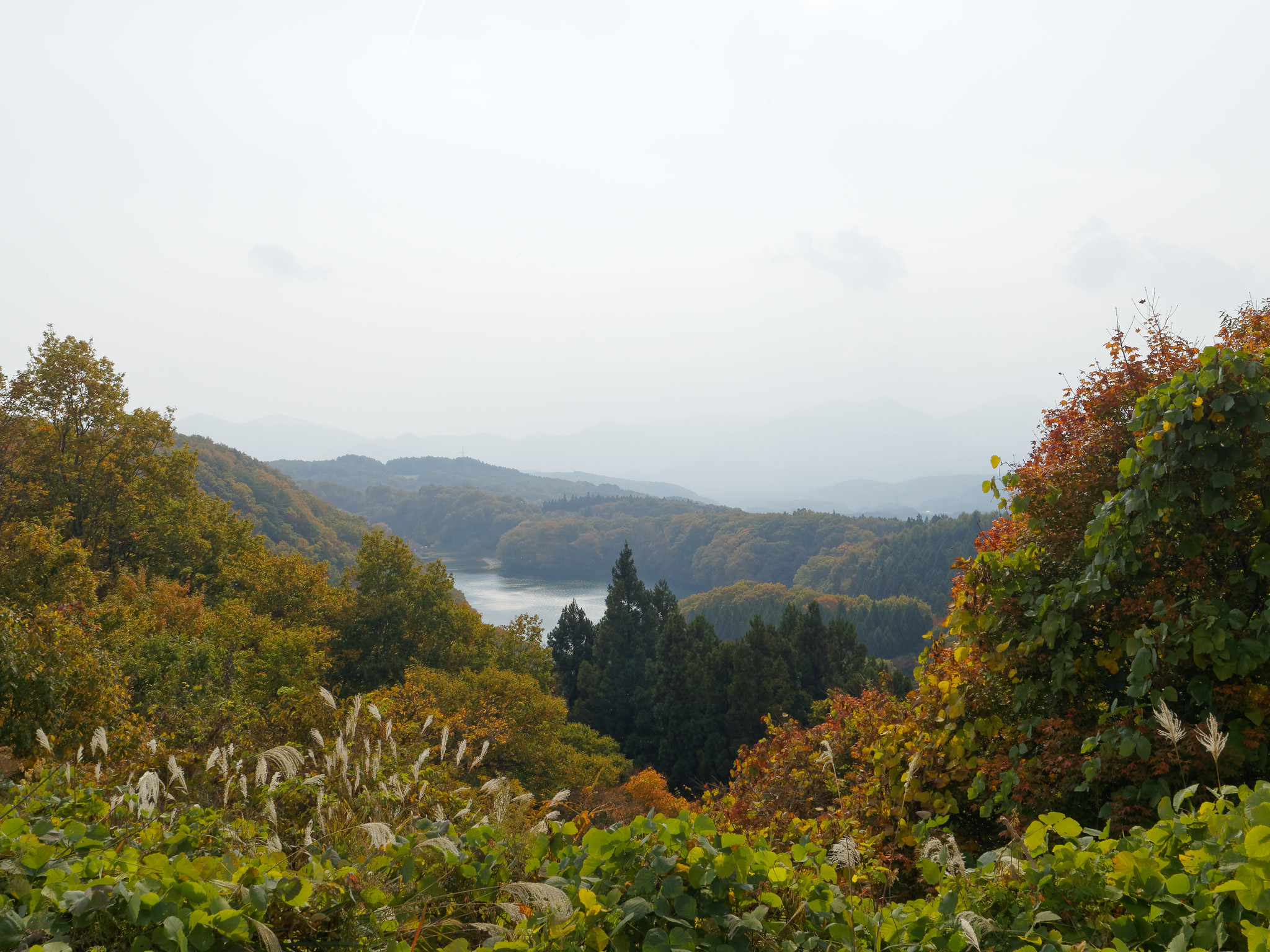 長老湖を望む