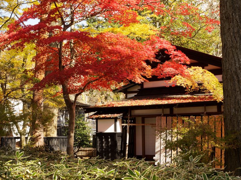 Featured image of post 秋田・盛岡の紅葉と歴史ある町並みを訪ねる