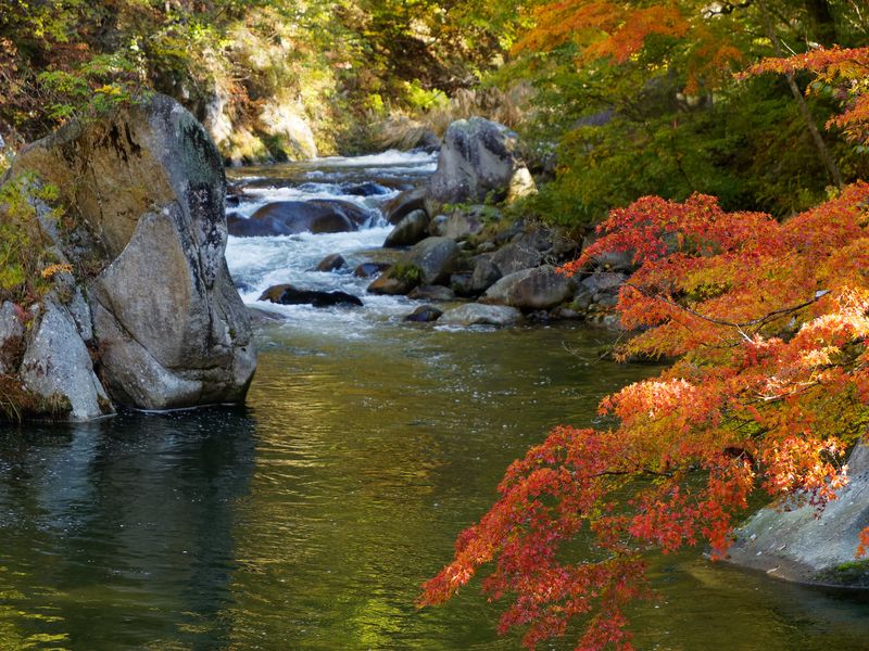 Featured image of post 「日本一の渓谷美」を歩き、ダムの人工湖を一周する紅葉狩り