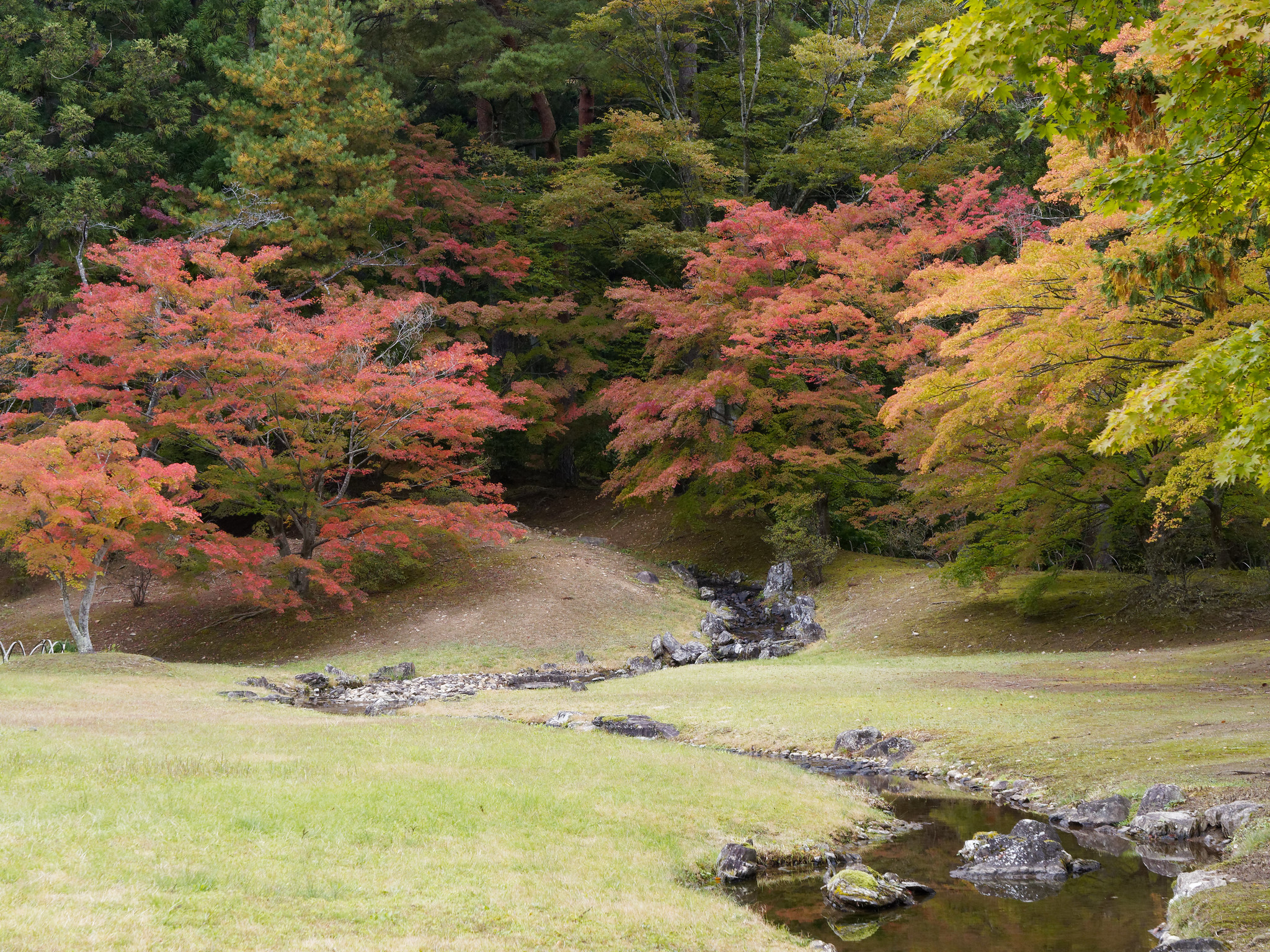 （参考）紅葉時期の遣水