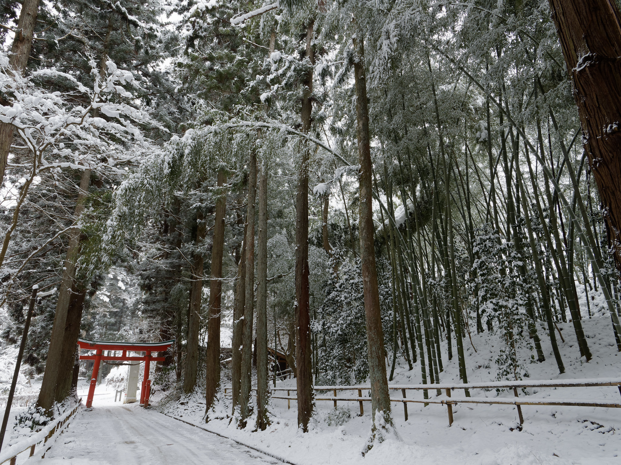 白山神社 参道