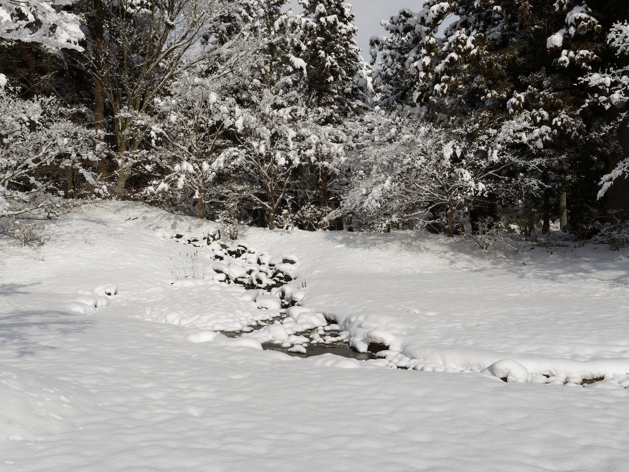 雪に包まれる遣水